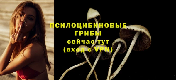 соль ск Верхний Тагил