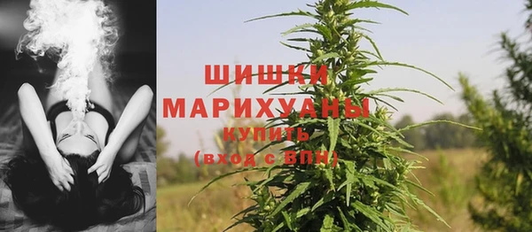 соль ск Верхний Тагил