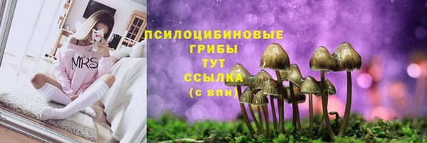 сатива Верхнеуральск