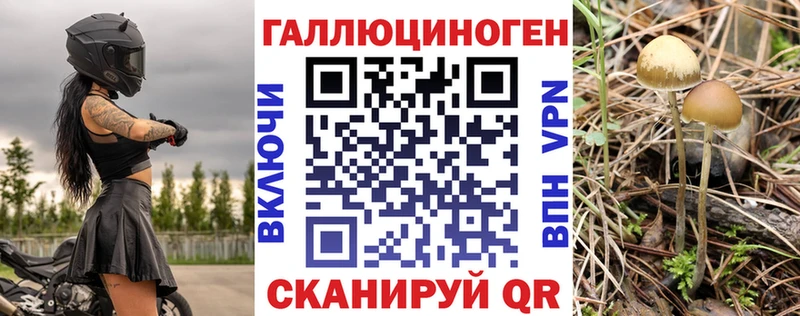 мега маркетплейс  Орехово-Зуево  Псилоцибиновые грибы GOLDEN TEACHER  где купить  